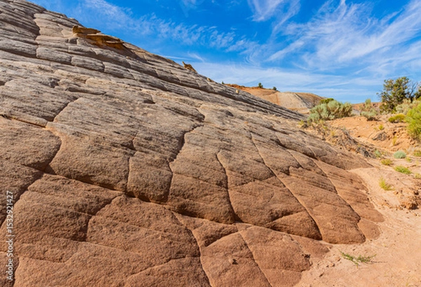 Fototapeta Layered Patterns on Ancient Petrified Sand Dunes, Nautilus Trail, Paria Canyon-Vermillion Cliffs Wilderness, Utah, USA