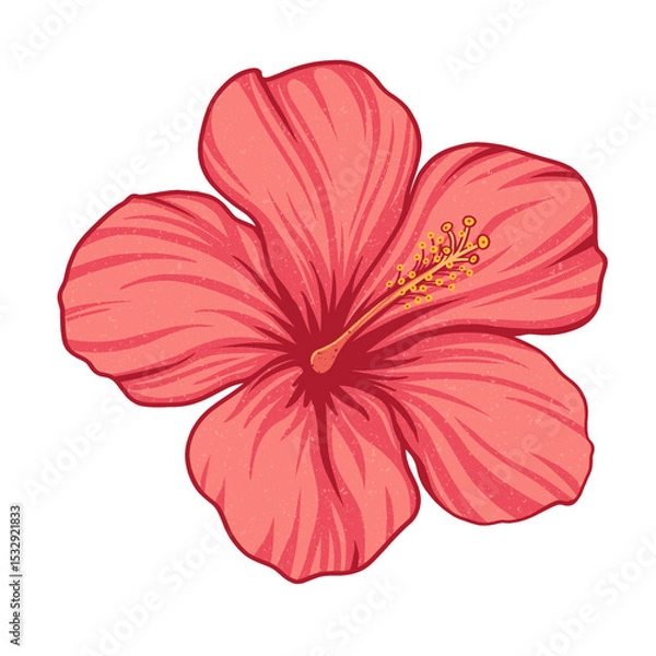Fototapeta Hibiscus-style flower is blooming in flat design with fine vein details on transparent background