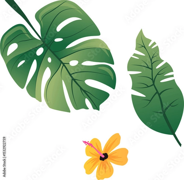 Obraz Showing flat art of perforated and veined leaves, yellow hibiscus on transparent canvas, copy space