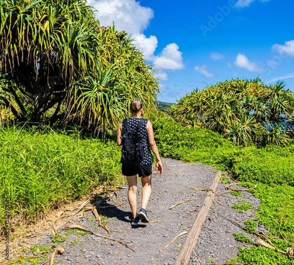 Fototapeta Female Hiker on The Kuloa Point Trail, Haleakala National Park, Maui, Hawaii, USA