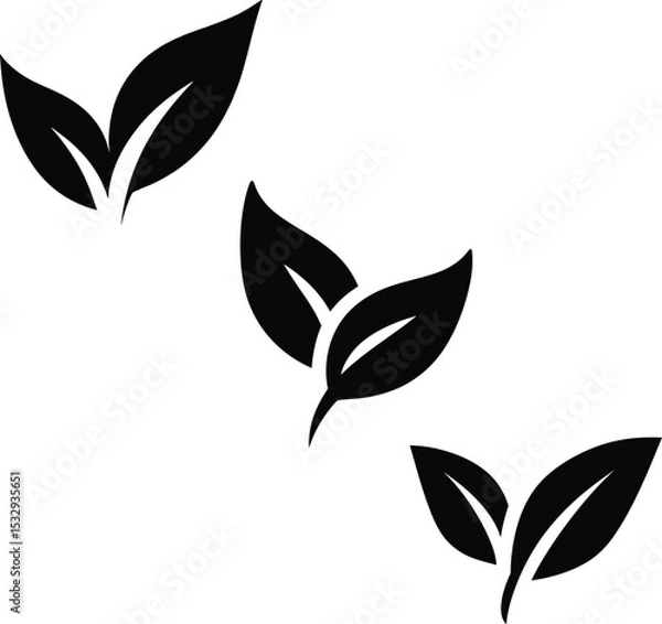 Fototapeta High quality photo of set of vector illustration of leaf.