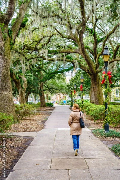 Obraz Alley in Forsyth Park