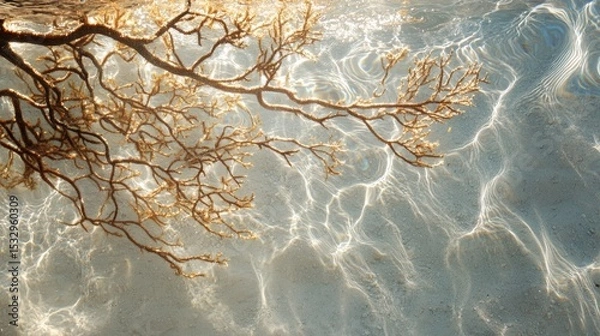 Obraz Tree branches with leaves reflected in rippling water creating abstract patterns.