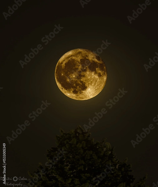 Obraz Strawberry Moon 2025