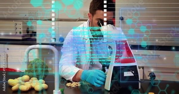 Fototapeta Examining scientist in lab coat peering through microscope at bench with potatoes, digital overlay