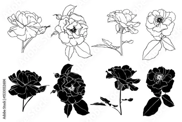 Fototapeta Sketch collection, silhouettes of rose flowers. Simple botanical elements. Vector graphics.