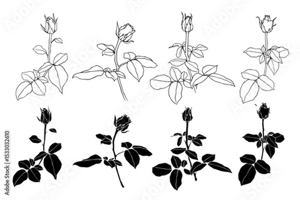 Fototapeta Sketch collection, silhouettes of rose flowers. Simple botanical elements. Vector graphics.
