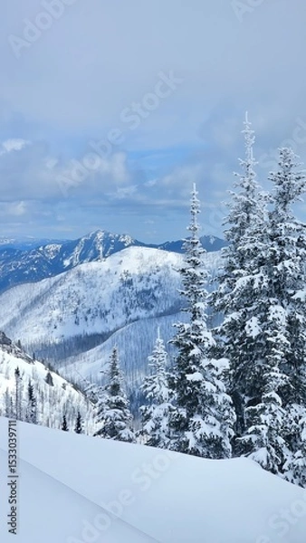 Obraz Snowy mountain landscape with evergreen trees covered in snow on a cloudy winter day in the mountains