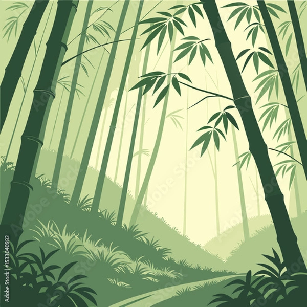 Fototapeta bamboo forest background