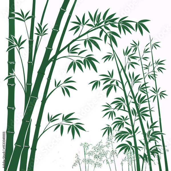 Fototapeta bamboo vector illustration