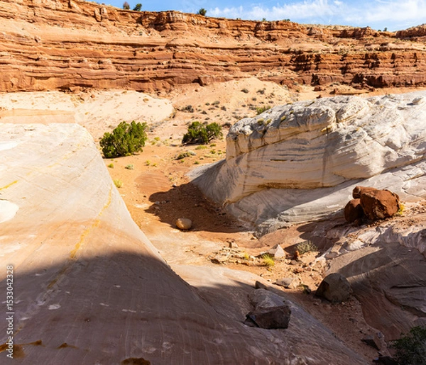 Fototapeta Upper Entrance Into The Nautilus Formation, Nautilus Trail, Paria Canyon-Vermillion Cliffs Wilderness, Utah, USA