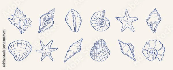 Fototapeta Hand drawn shells ocean doodle collection. Outline sea shells and sea stars, vintage marine sketches, oysters rapanas, coastal bohemian lifestyle concept. Vector set