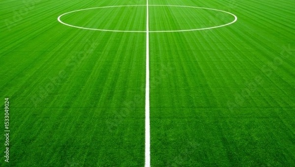 Obraz Textured soccer game field.