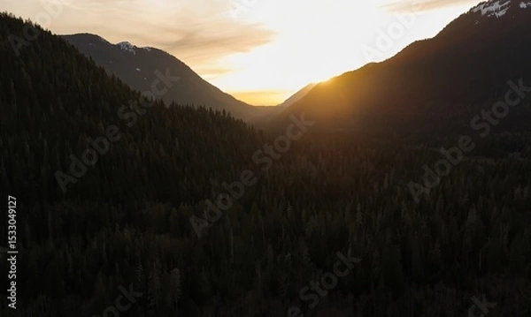 Obraz Aerial view of a valley covered in dark trees with mountains and a bright sunset in the distance