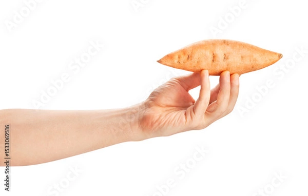 Fototapeta sweet potato in hand path isolated on white
