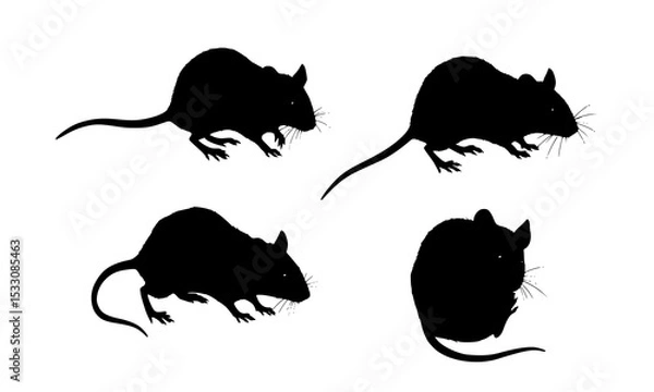 Fototapeta Set Bundle of Artistic Silhouette Illustrations Featuring Mice in Various Poses for Educational and Creative Applications