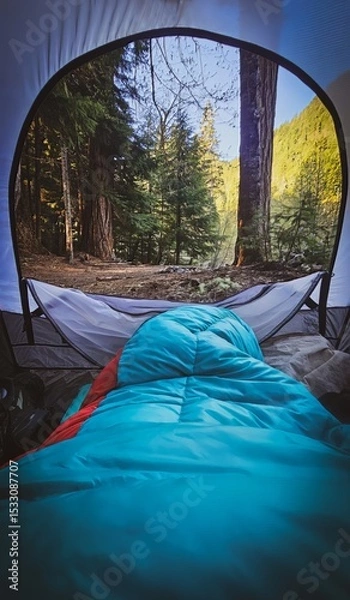 Obraz View from inside a tent with a blue sleeping bag looking out at a forest with tall trees and green foliage