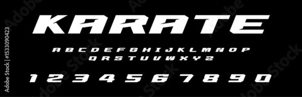 Fototapeta Karate lettering vector graphic fight apparel clothing prints eps svg png. Typography Fonts graphics designs posters stickers. Download it Now in high resolution format and print it in any size