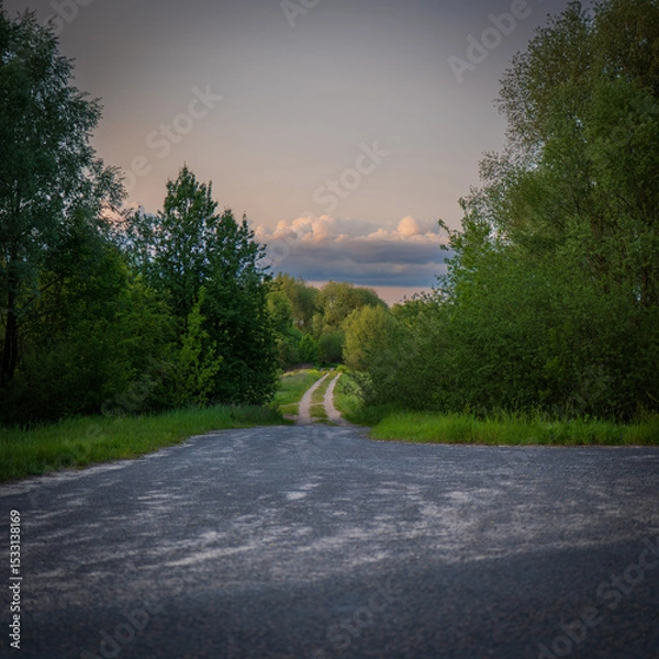 Obraz A view of nature, beautiful wallpapers