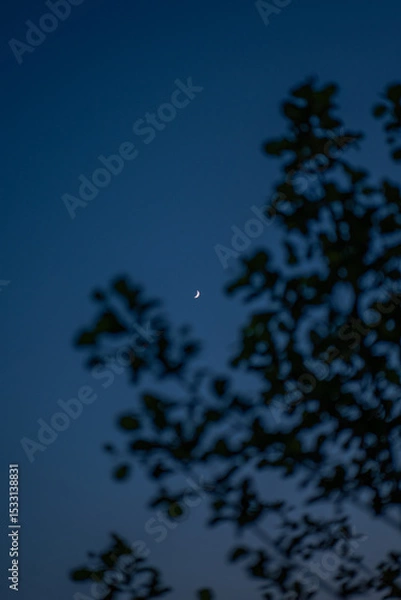 Fototapeta A night view with a bright moon