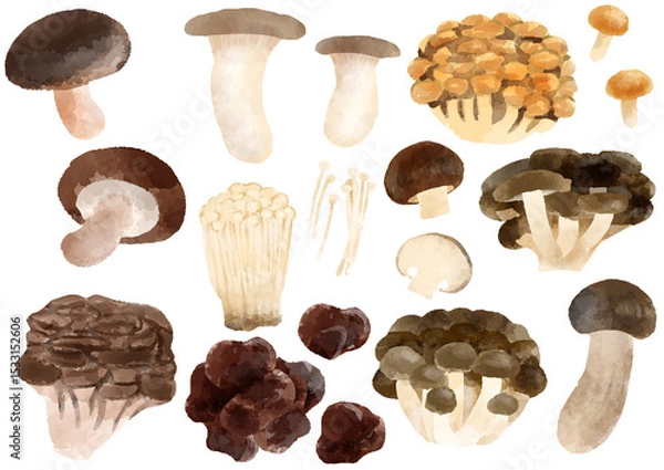 Obraz きのこ　アイコン　イラスト　手描き　水彩風