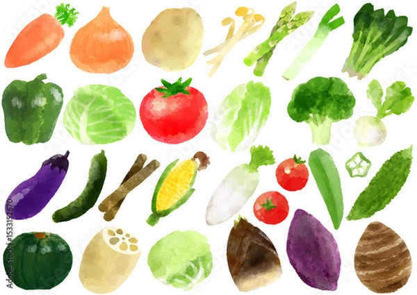 Obraz 野菜　アイコン イラスト　手描き　水彩風