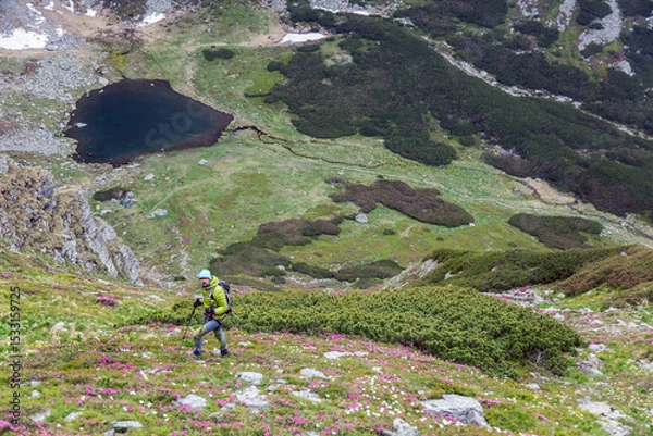 Fototapeta Adventure enthusiast hiking through dramatic rocky wilderness, using poles for stability while crossing steep terrain dotted with massive stones