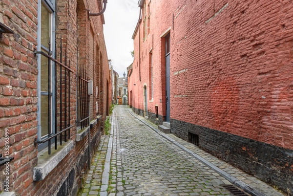 Fototapeta Narrow cobblestone alley between old brick residential buildings under cloudy sky at dusk in summer