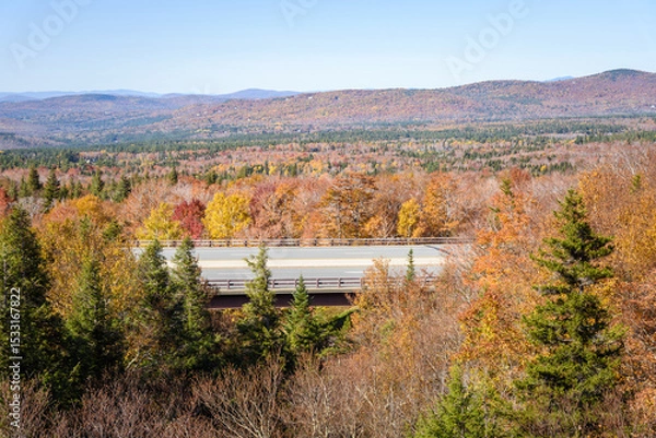 Fototapeta Deserted stretch of a motorway bridge in a forested mountain landscape in autumn