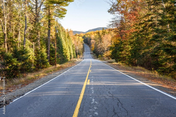 Fototapeta Deserted stretch of a mountain road through a dense forest at sunset in autumn