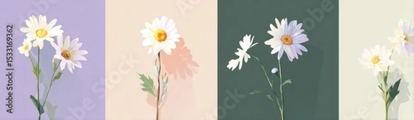 Fototapeta Four stylized daisy arrangements against pastel backgrounds, each showcasing varying bloom counts and subtle color shifts