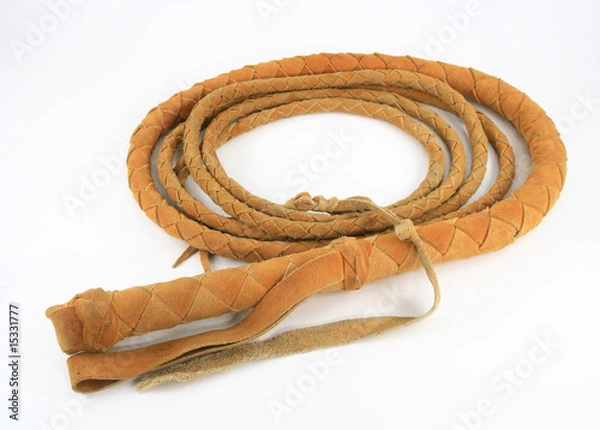 Obraz Bullwhip