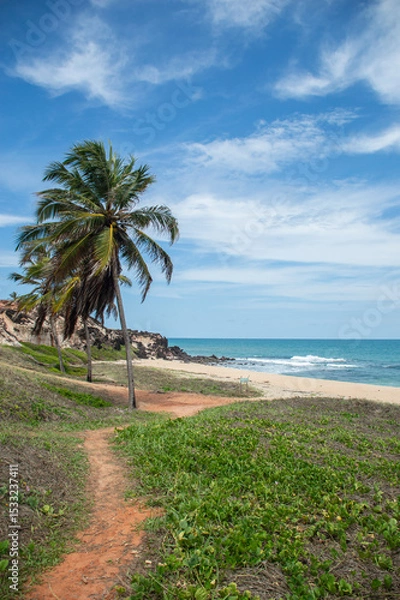 Obraz Tropical escape at Praia das Minas beach in Pipa, Brazil