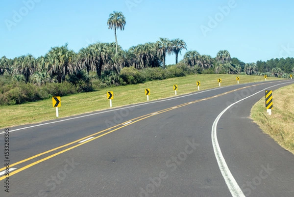 Fototapeta Palmeras en la curva de una ruta
