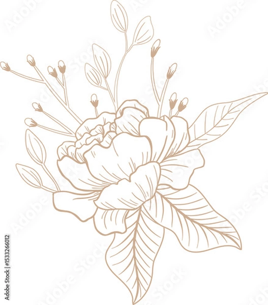 Fototapeta Line art is showing blooming flower with stem buds and veined leaves transparent background
