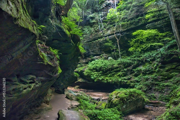 Obraz Immersive summer landscape of a trail passing through a rocky gorge with lush green trees and shrubs at Hocking Hills State Park in Hocking County, Ohio.