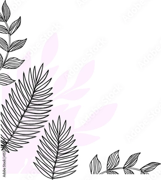 Fototapeta Flat design showing pink leaf shapes, black fern line drawings, transparent background, copy space