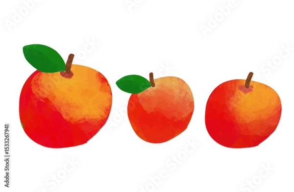 Obraz 水彩テクスチャのリンゴイラスト3点セット