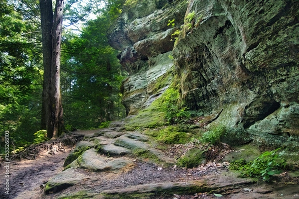 Obraz Summer day landscape of stone steps along a trail beside rock cliffs and lush green trees at Hocking Hills State Park in Hocking County, Ohio.