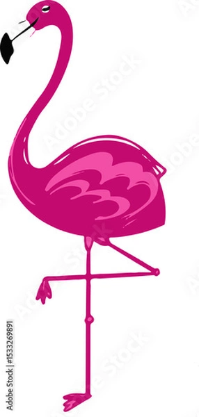 Fototapeta Pink flamingo design is featuring curved neck and white beak in vector with transparent background