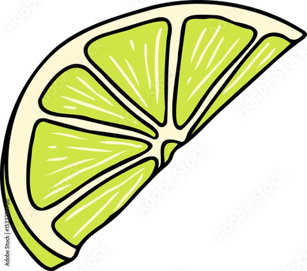 Fototapeta Stylized lime wedge is showing curved rind and segmented pulp in vector art on transparent backdrop