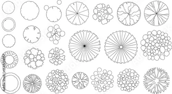 Obraz Vector tree top view isolated on white background for landscape plan and architecture layout drawing, elements for environment and garden, cad