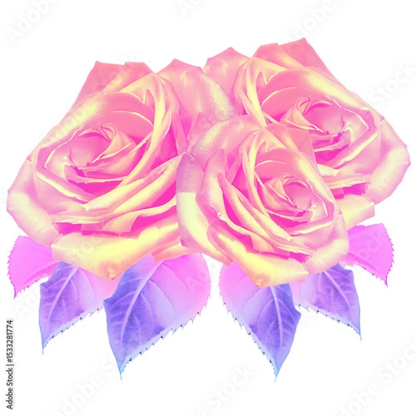 Fototapeta Flat vector featuring rose trio with pink gradient petals and violet leaves, transparent background