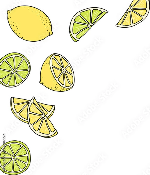 Fototapeta Cartoon style lemon and lime slices are scattering on transparent backdrop, copy space