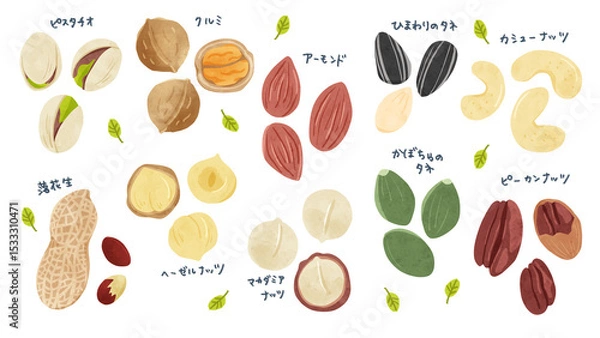 Fototapeta ナッツ10種類のセット　水彩風手描きイラスト