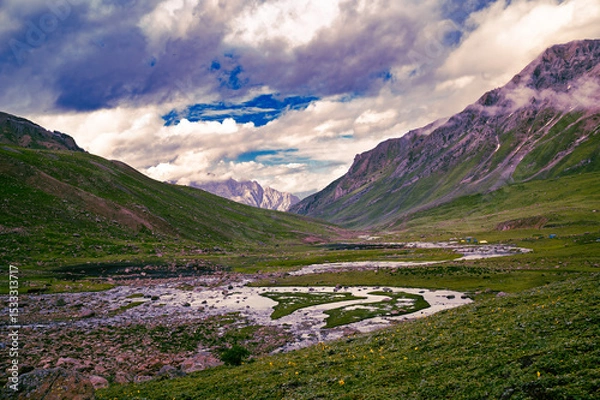 Obraz Spring in the mountains. Panoramic view of Sonmarg, Kashmir valley in the Himalayan region. Serene meadows, alpine trees, wildflowers on the trails of The Great Lake of Kashmir Trek, 2022. 