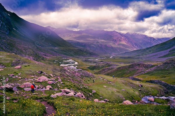 Fototapeta Meadow with flowers. Panoramic view of Sonmarg, Kashmir valley in the Himalayan region. Serene meadows, alpine trees, wildflowers on the trails of The Great Lake of Kashmir Trek, 2022. 