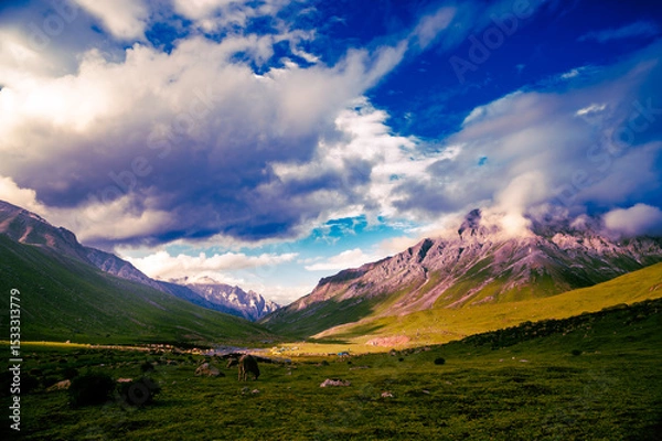 Fototapeta Mountain landscape with clouds. Panoramic view of Sonmarg, Kashmir valley in the Himalayan region. Serene meadows, alpine trees, wildflowers on the trails of The Great Lake of Kashmir Trek, 2022. 