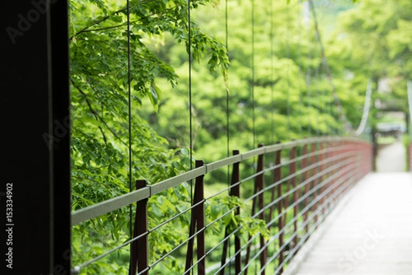 Fototapeta 新緑の美しい吊り橋 