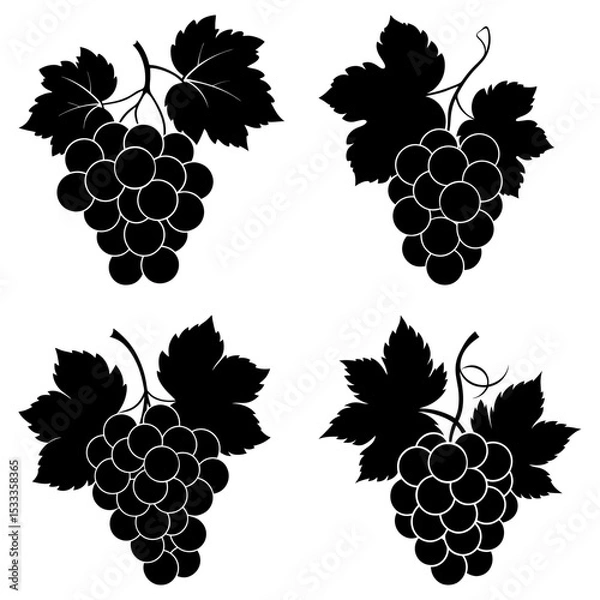 Fototapeta Four bunches of grapes with leaves in black silhouette on a white background in a vector illustration